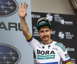 Maagvirus van Sagan kan wel eens langdurige gevolgen hebben