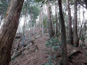 登り返す