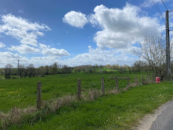 terrain à La Porte du Der (52)