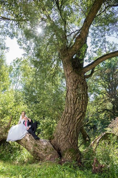 Photographe de mariage Arkadiusz Nowosad (nowosad). Photo du 24 février 2020