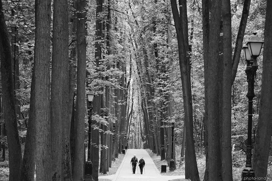 Huwelijksfotograaf Andrey Egorov (aegorov). Foto van 21 februari 2017