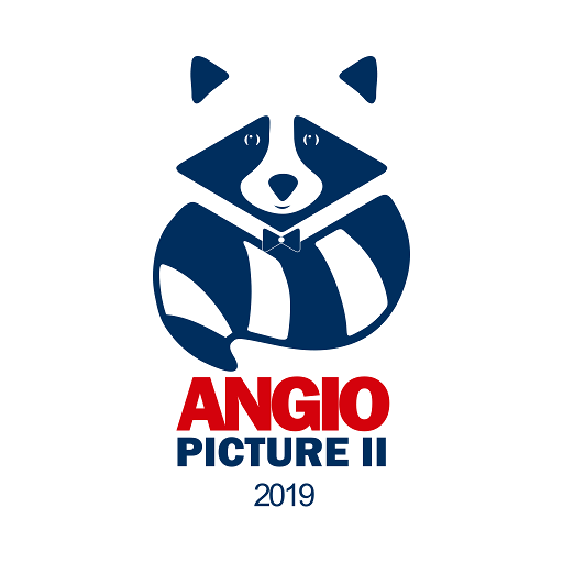 Angiopicture 2019