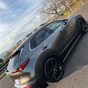 CX-30 DMEP