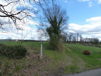 terrain à Montricoux (82)