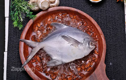 White Pomfret Fish - Whole