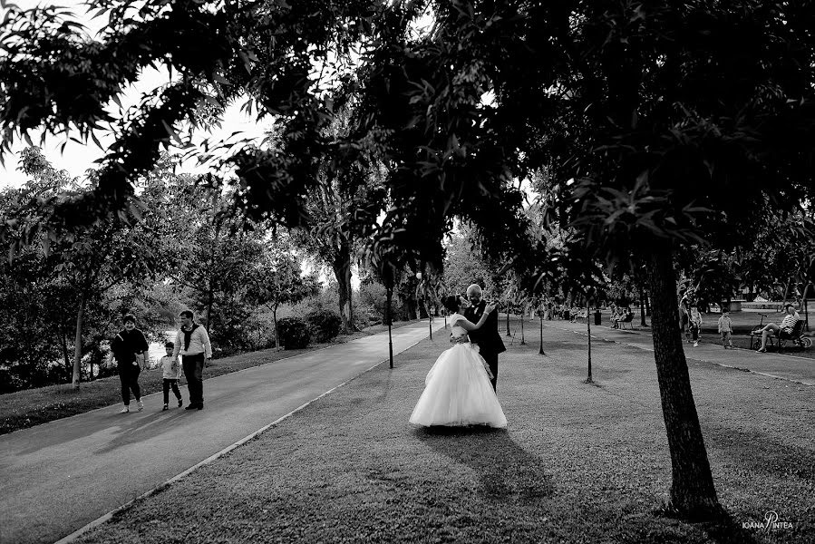 Fotografo di matrimoni Ioana Pintea (ioanapintea). Foto del 14 giugno 2016