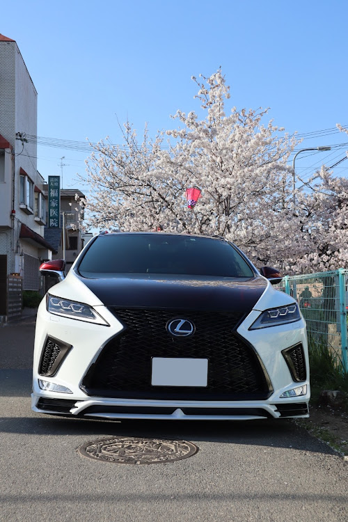 RXの#LMG・桜とコラボ🌸に関するカスタム事例の投稿画像3枚目