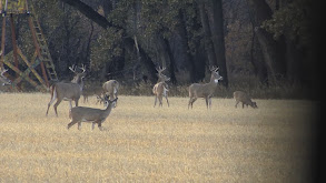 Hunting Public Land thumbnail