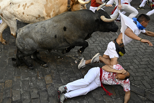 A man died from his injuries after he was gored by a bull at a festival in eastern Spain, authorities said. File image.