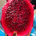 Dragon fruit (Pitaya)