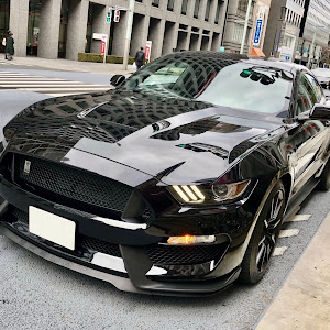 シェルビー GT350