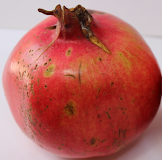 Production of Pomegranate