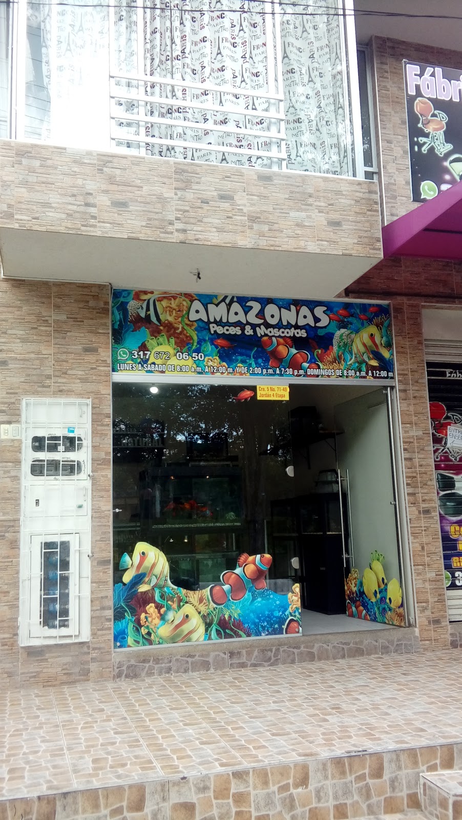 AMAZONAS Peces & Mascotas