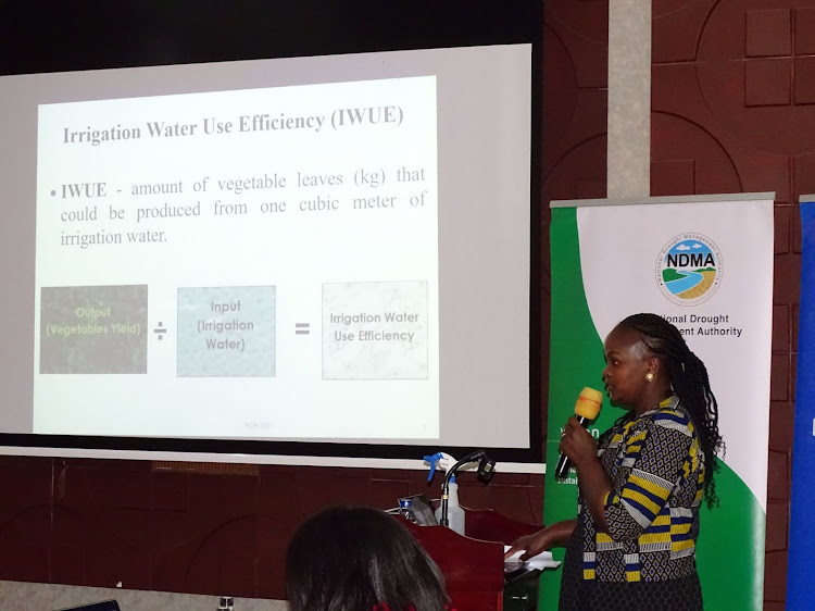 Dorcas Bernard makes her presentation on effects of SAP on irrigation water requirement, efficiency and African leafy vegetables growth in greenhouse.