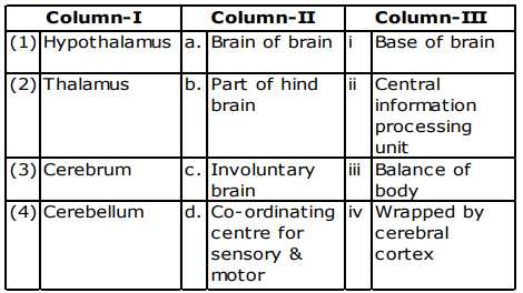 Central Nervous System