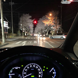 エスクァイア ZWR80G