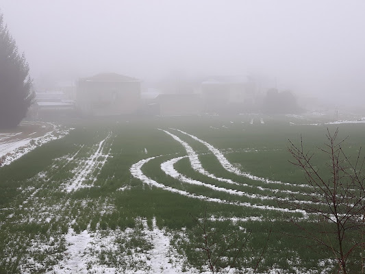 Prove del passaggio di joysphoto