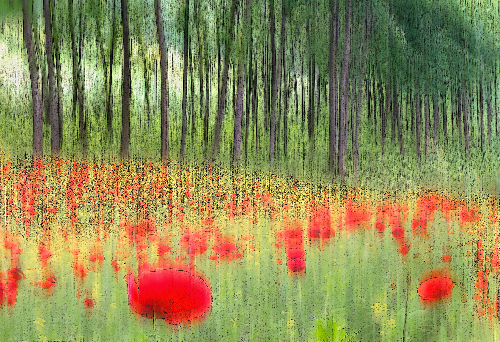 Maggio si colora di Marlak