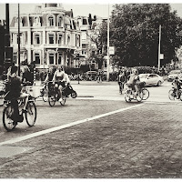 Strada ciclabile  di 