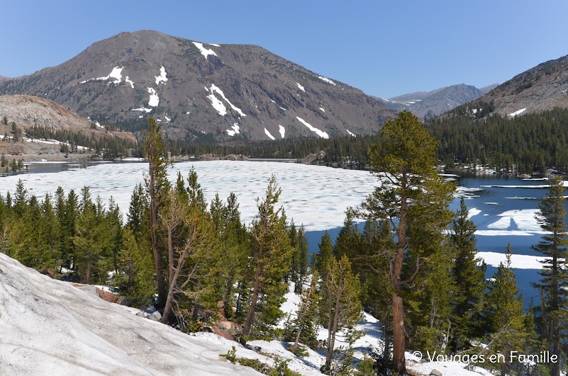 Tioga pass