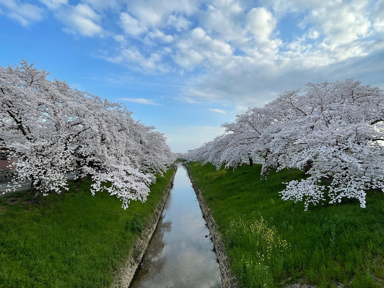 の投稿画像10枚目