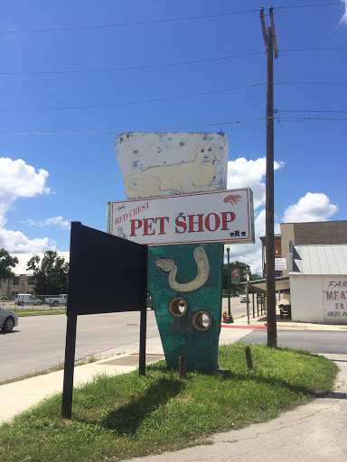 Pet Shop mural 