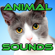 Download Animal Sounds For PC Windows and Mac 1.0