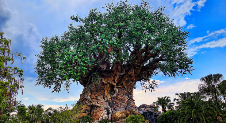 Tree of Life at Animal Kingdom