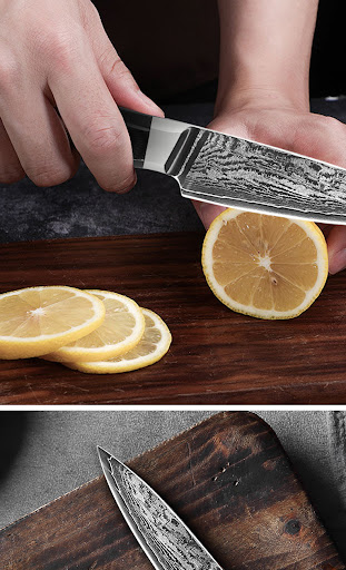 Title 6, Japanese Damascus Steel Kitchen Knife for House...