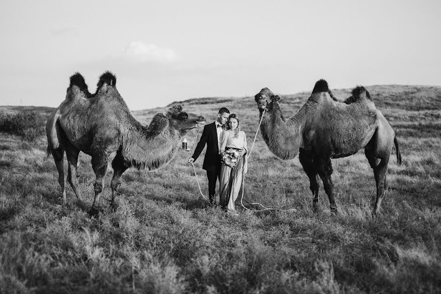 Photographer sa kasal Galina Kolesnik (galkol). Larawan ni 29 Setyembre 2016