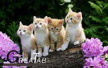 Baby Animals Backgrounds Wallpapers |GreaTab small promo image