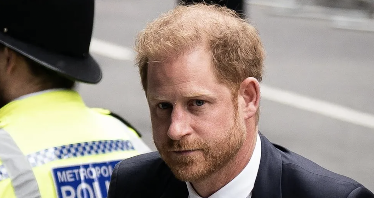 Prince Harry is challenging the fairness of how decisions over his security were made