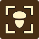 Fungus - Identification of fungi Download on Windows