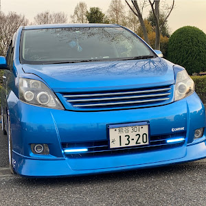 アイシス ANM10W