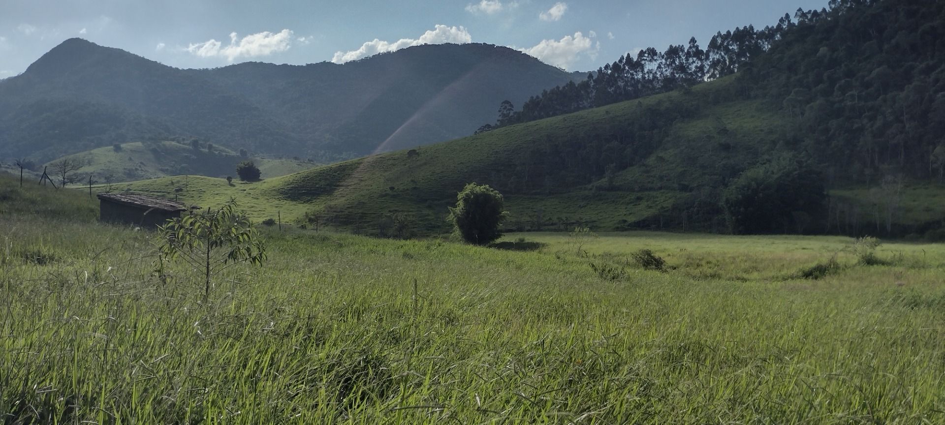 Fazendas à venda Centro