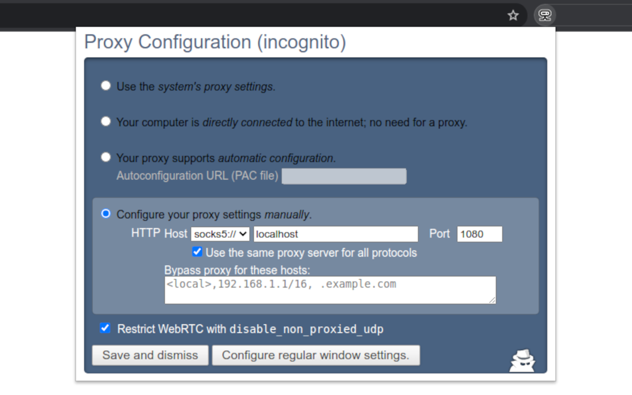 Incognito Proxy Preview image 0