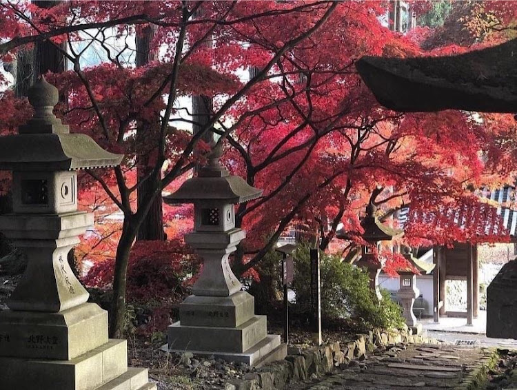 ソリオバンディットの自粛生活・ONE NAGANO・コロナウイルスに負けるな・コロナが収束したらぜひ来てね！・stay homeに関するカスタム事例の投稿画像4枚目