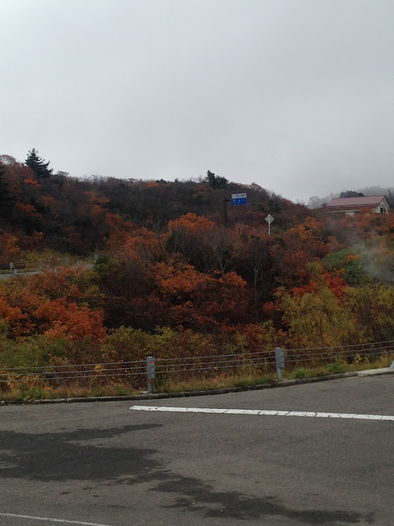 Aクラス ハッチバックの紅葉と愛車に関するカスタム事例の投稿画像2枚目