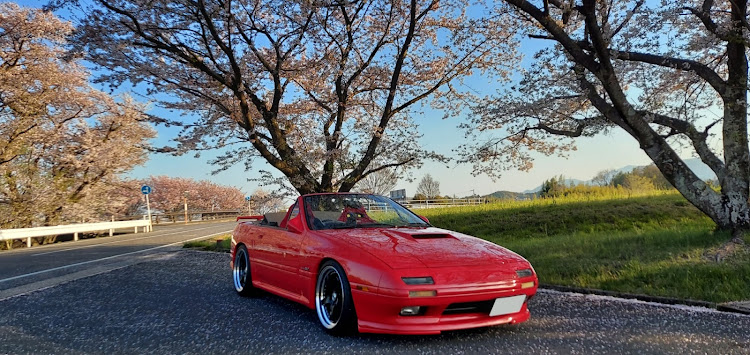 サバンナRX-7のサクラと愛車に関するカスタム事例の投稿画像1枚目