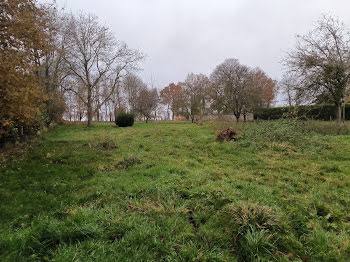 terrain à Tinténiac (35)