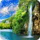 Forest Waterfall Live Wallpaper Download on Windows