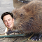 Item logo image for Elongated Muskrat Replacer