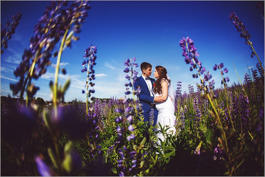 Hochzeitsfotograf Sergey Fomchenkov (sfomchenkov). Foto vom 25. Juli 2016