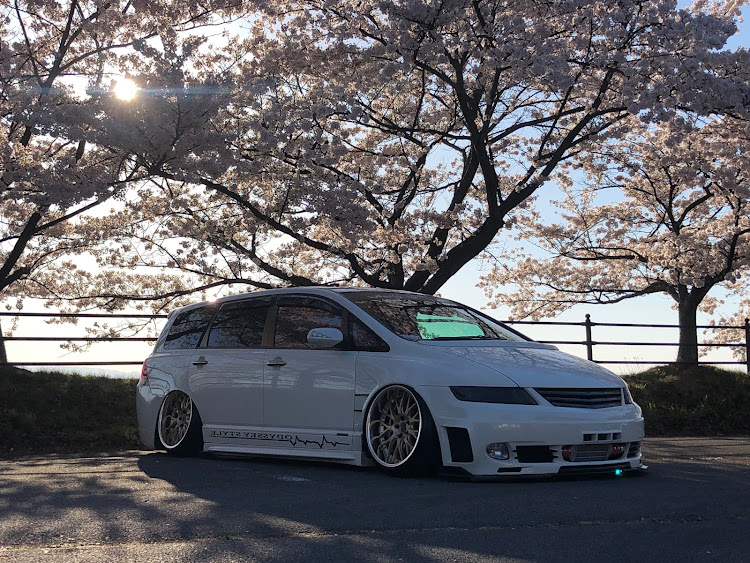 オデッセイのいつも いいね&コメントありがとうございます✨・オデッセイ・桜とコラボ・4月もよろしくお願い致します🌸・PickUpチャレンジに関するカスタム事例の投稿画像2枚目