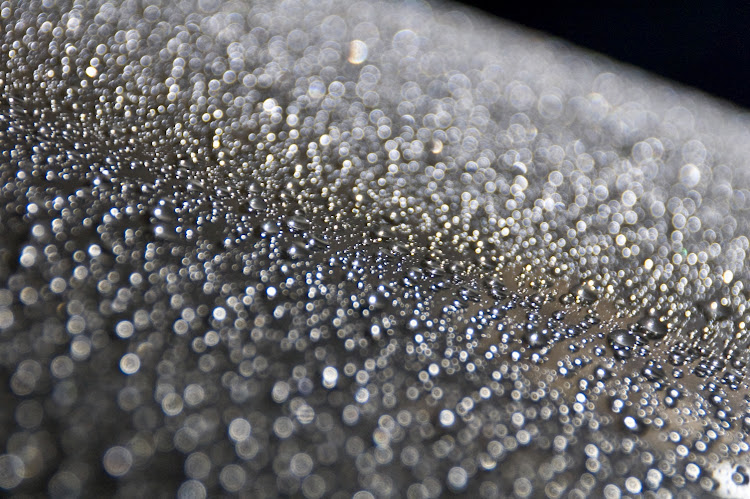 オデッセイの撥水に関するカスタム事例の投稿画像2枚目