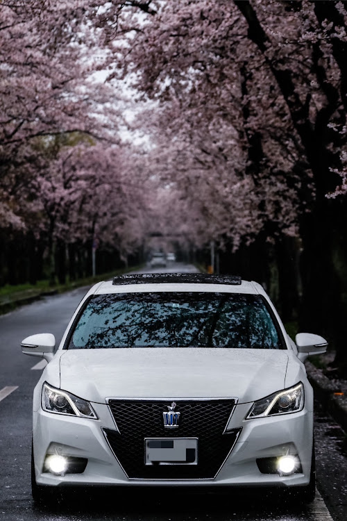 クラウンアスリートの桜とコラボ・サクラと愛車・クルマ好き・#クラウン女子に関するカスタム事例の投稿画像4枚目