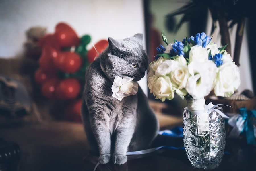 Fotógrafo de bodas Dmitriy Babin (babin). Foto del 9 de julio 2015