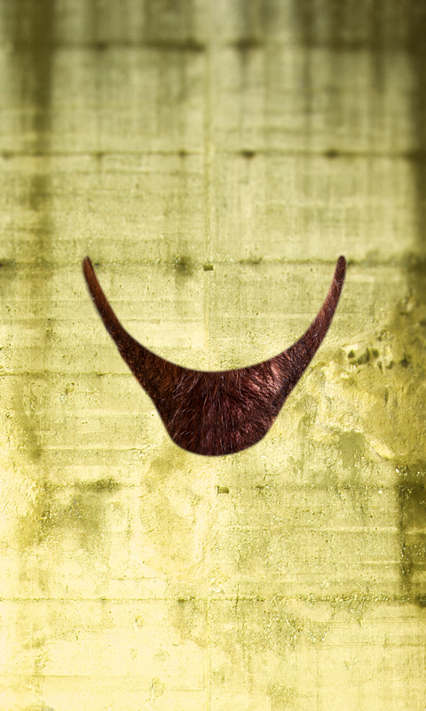 Android application Beard Photo Montage screenshort