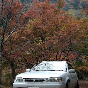 カローラ AE110