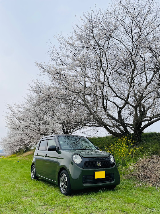 N-ONEの桜シーズン開幕・黄砂と花粉は敵・黄砂・黄砂まみれ・洗車に関するカスタム事例の投稿画像1枚目